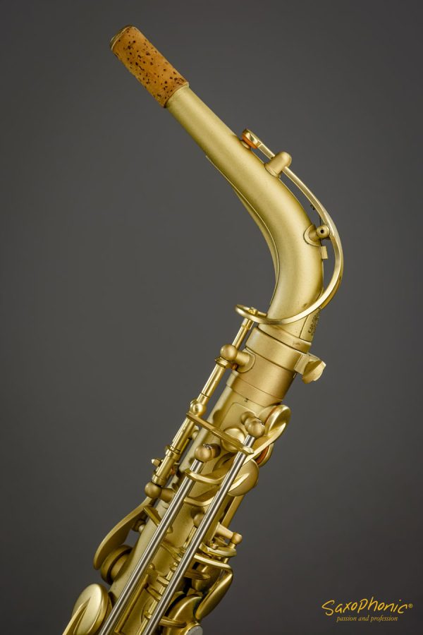 016XXX Medusa Alto Saxophone S-Bogen