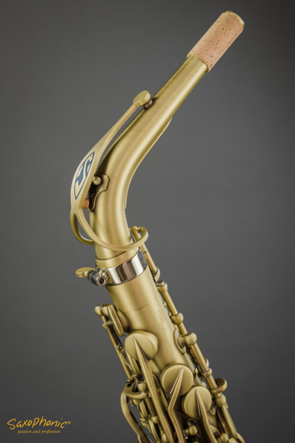 Alto Saxophone SELMER Paris Supreme patiniert patinated