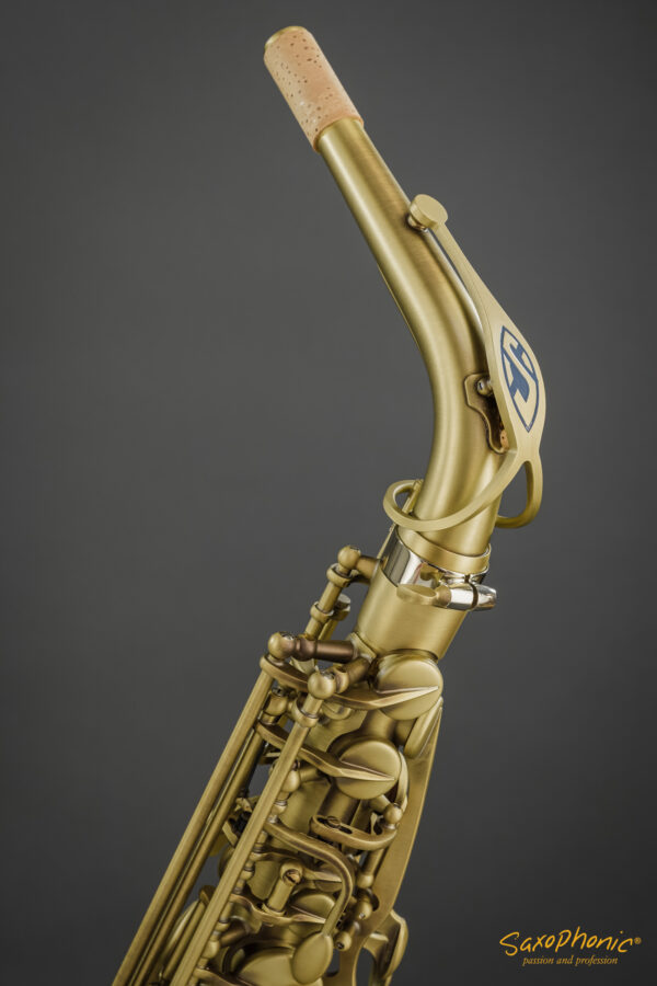 Alto Saxophone SELMER Paris Supreme patiniert patinated