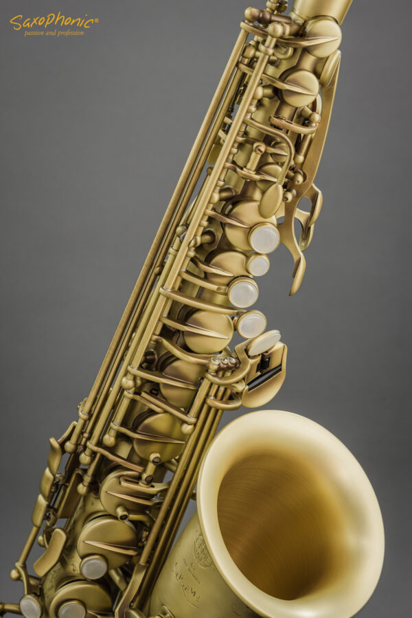 Alto Saxophone SELMER Paris Supreme patiniert patinated