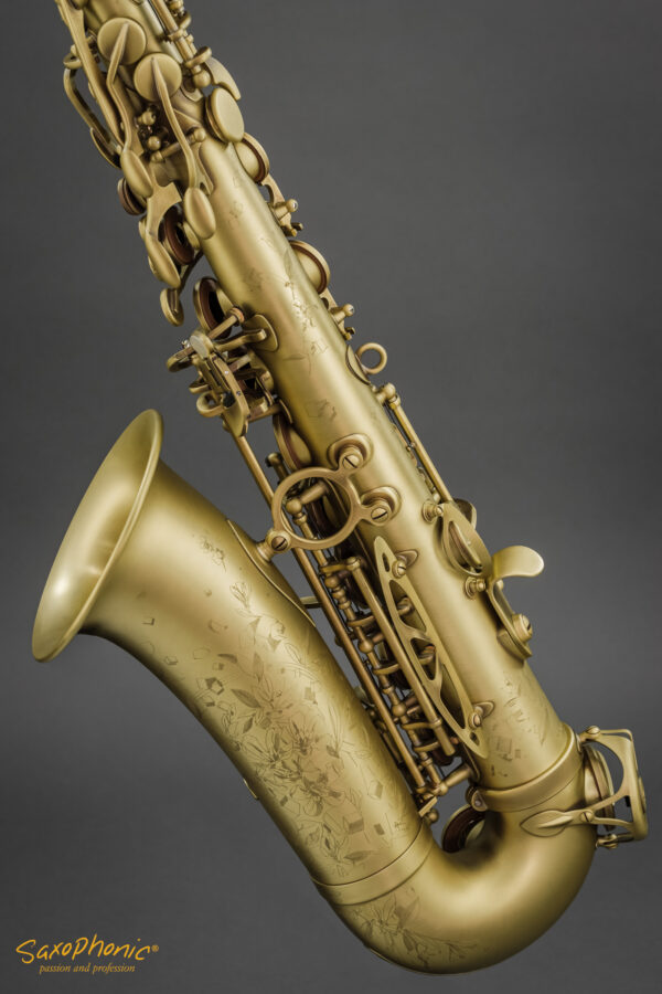 Alto Saxophone SELMER Paris Supreme patiniert patinated