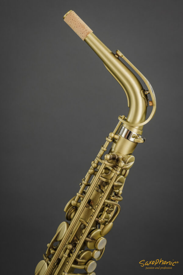 Alto Saxophone SELMER Paris Supreme patiniert patinated