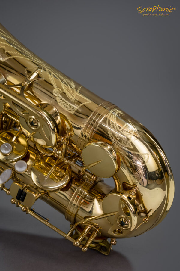 Tenor Saxophon SELMER Paris SA80 II gebraucht used 1st hand 1. Hand