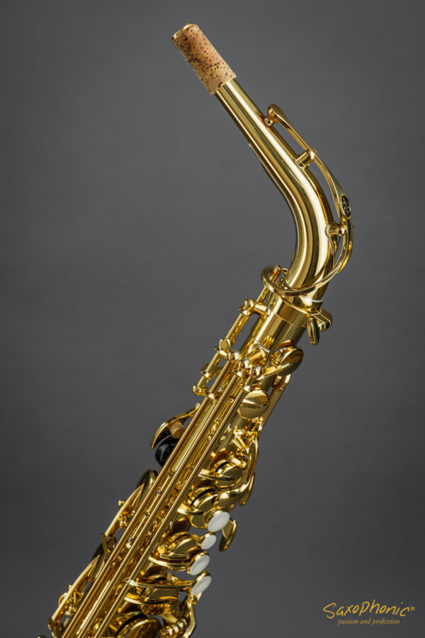 Alto Saxophone Yanagisawa YAS-480 Q89xxx mint condition gebraucht sehr guter Zustand