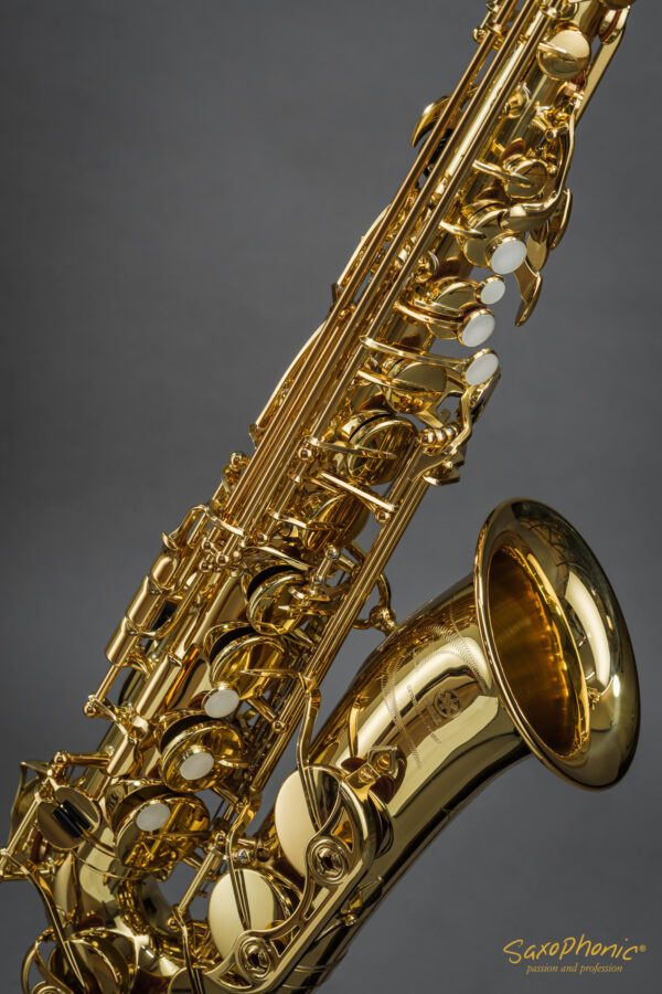 Alto Saxophone Yanagisawa YAS-480 Q89xxx mint condition gebraucht sehr guter Zustand