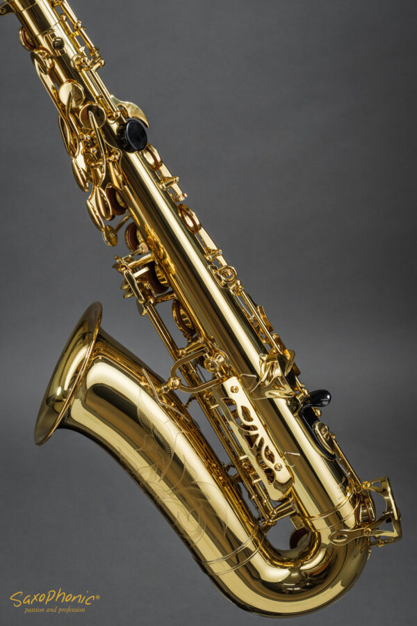 Alto Saxophone Yanagisawa YAS-480 Q89xxx mint condition gebraucht sehr guter Zustand