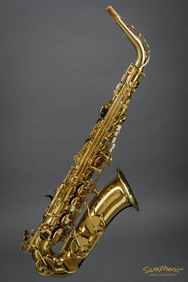 Alto Saxophone Yanagisawa YAS-480 Q89xxx mint condition gebraucht sehr guter Zustand