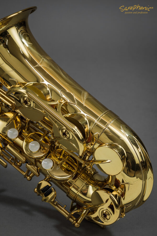 Alto Saxophone Yanagisawa YAS-480 Q89xxx mint condition gebraucht sehr guter Zustand