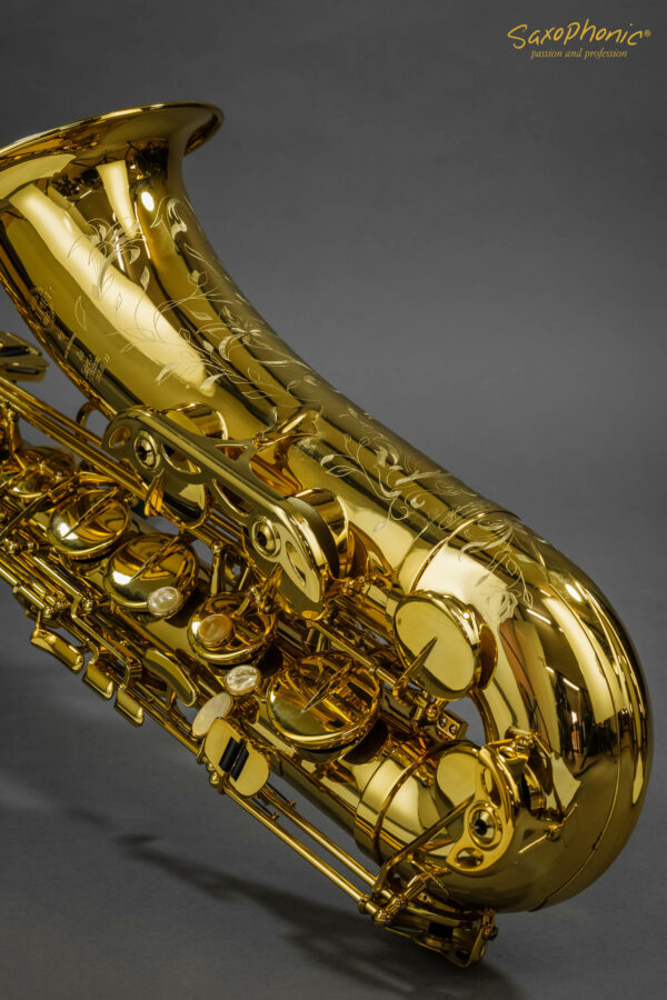 Tenor Saxophone SELMER Paris Series II Super Action gebraucht neuwertig mint condition 750xxx