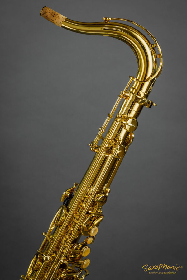 Tenor Saxophone SELMER Paris Series II Super Action gebraucht neuwertig mint condition 750xxx