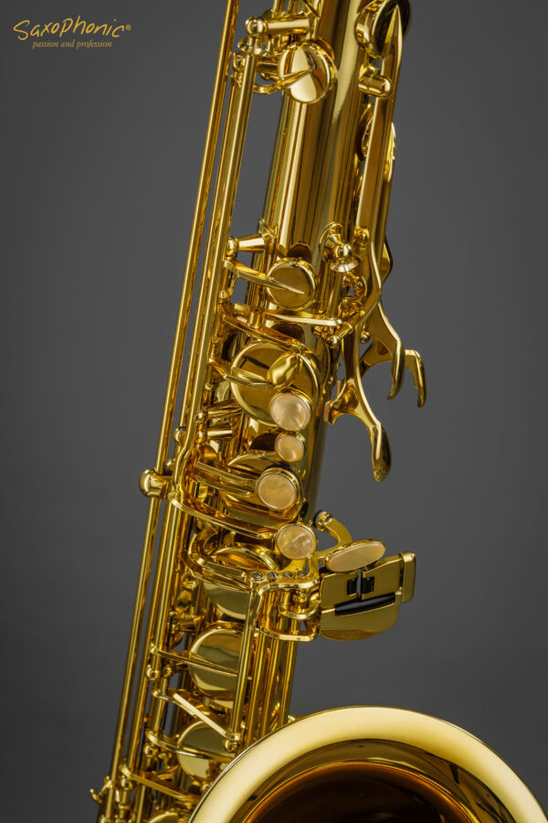 Tenor Saxophone SELMER Paris Series II Super Action gebraucht neuwertig mint condition 750xxx