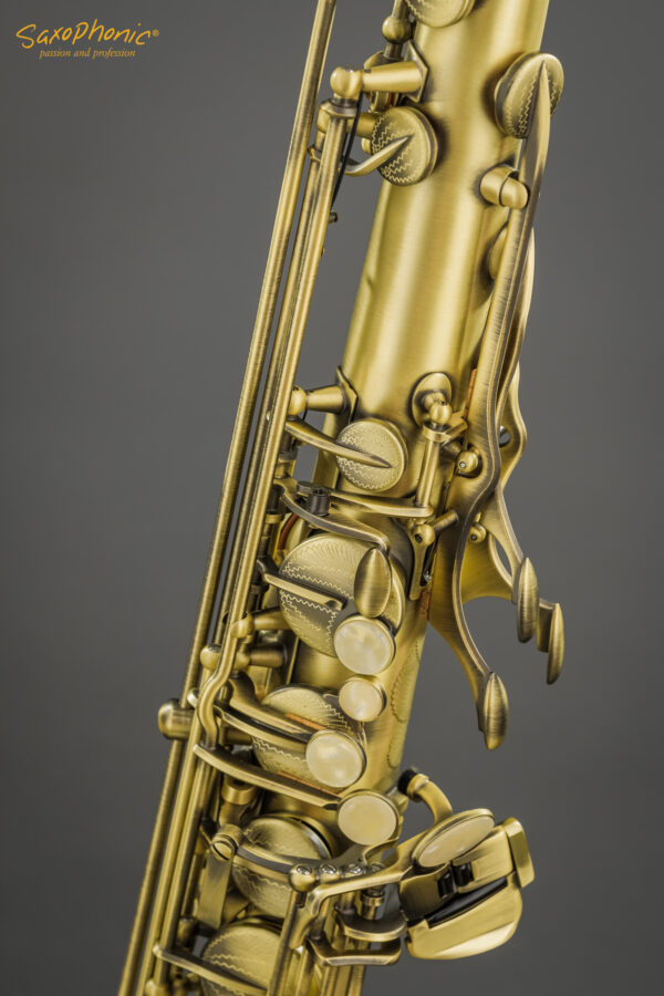Tenor Saxophone Buffet Crampon Series 400 matt gebürstet matte brushed