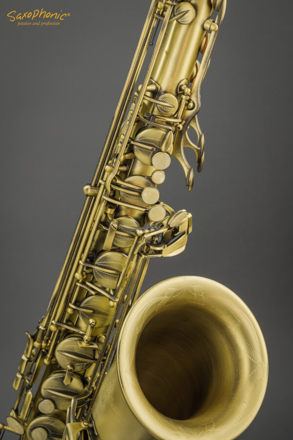 Tenor Saxophone Buffet Crampon Series 400 matt gebürstet matte brushed