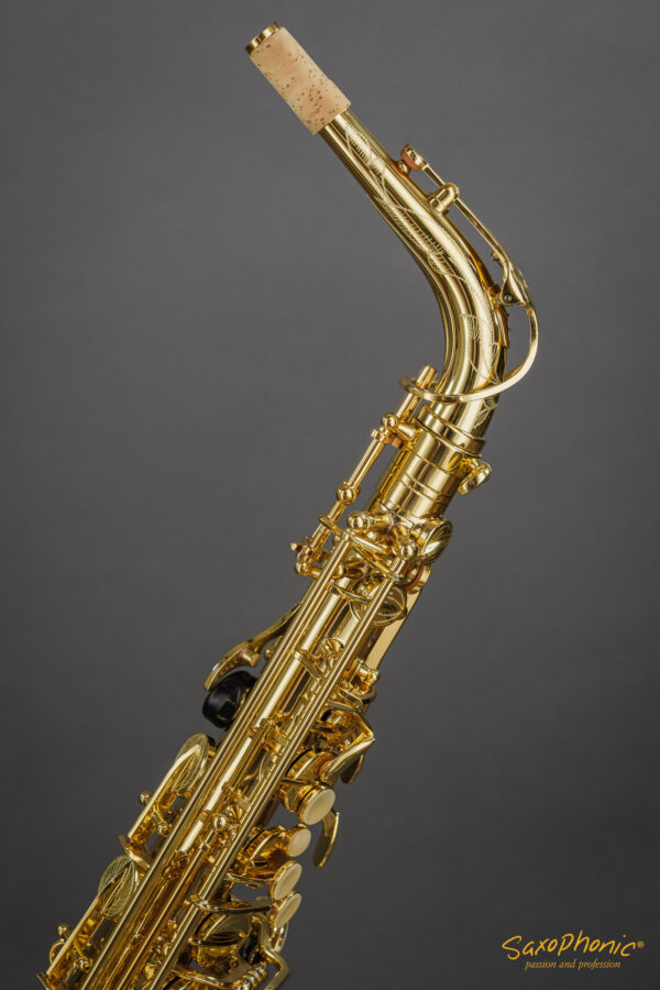 Alto Saxophone Buffet Crampon Serie 400 2100xxx