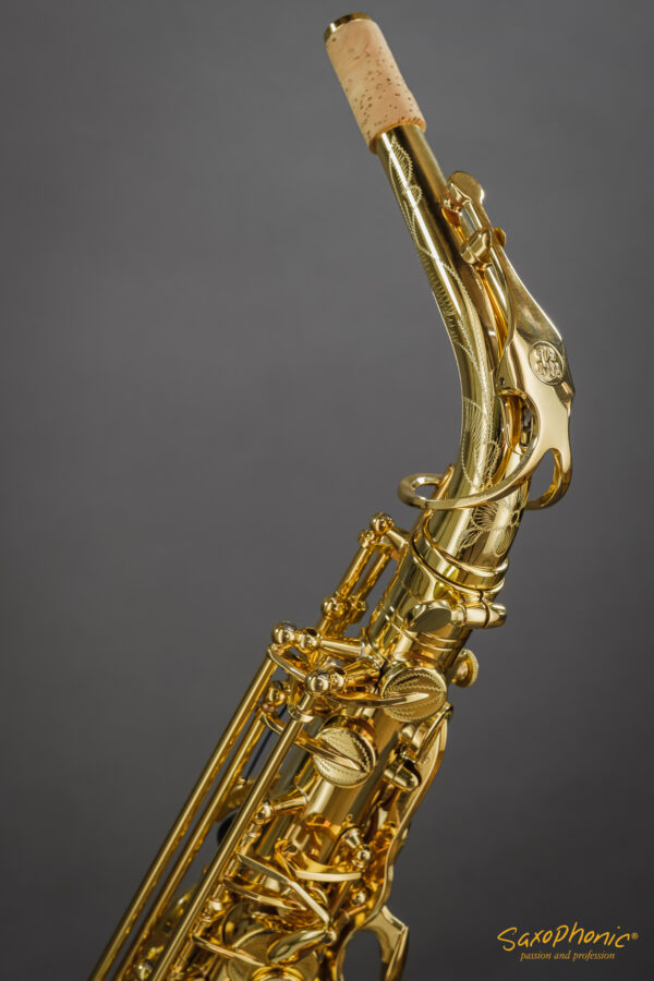 Alto Saxophone Buffet Crampon Serie 400 2100xxx