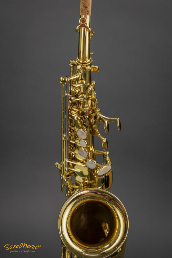 Yanagisawa Soprano Saxophone SC900 gebraucht used aus 1. Hand 1st hand top condition 206xxx