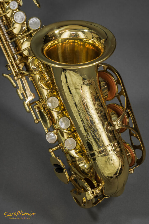 Yanagisawa Soprano Saxophone SC900 gebraucht used aus 1. Hand 1st hand top condition 206xxx