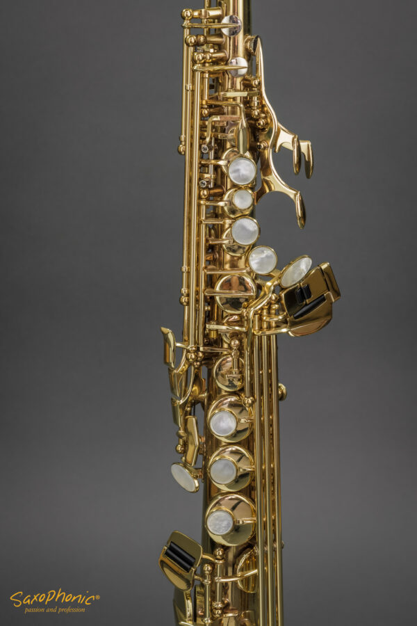 SELMER Soprano Saxophone Super Action SA80 II gebraucht used like new neuwertig 462xxx