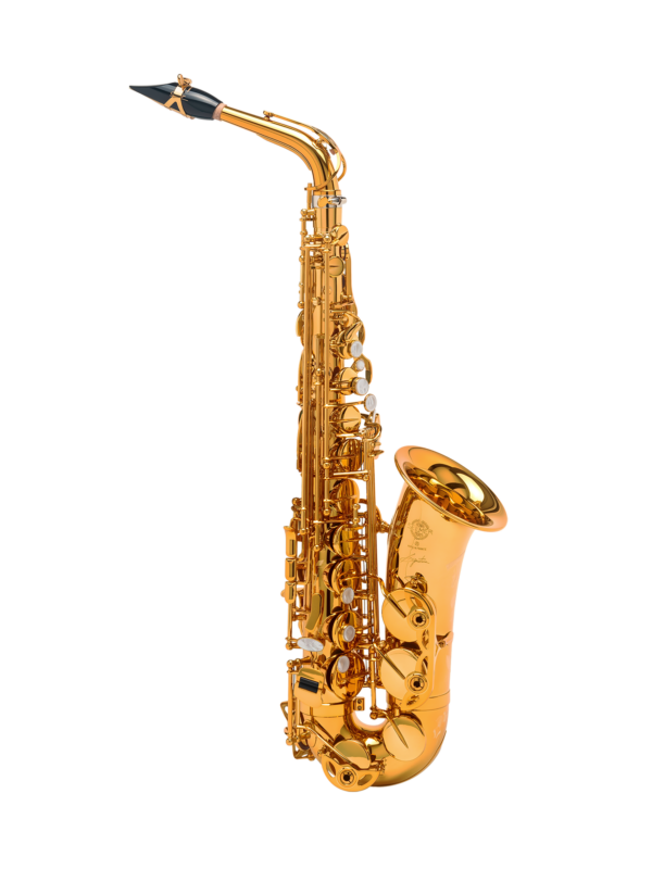 Alto Saxophone SELMER Paris Signature gold-plated vergoldet Gravur engraving