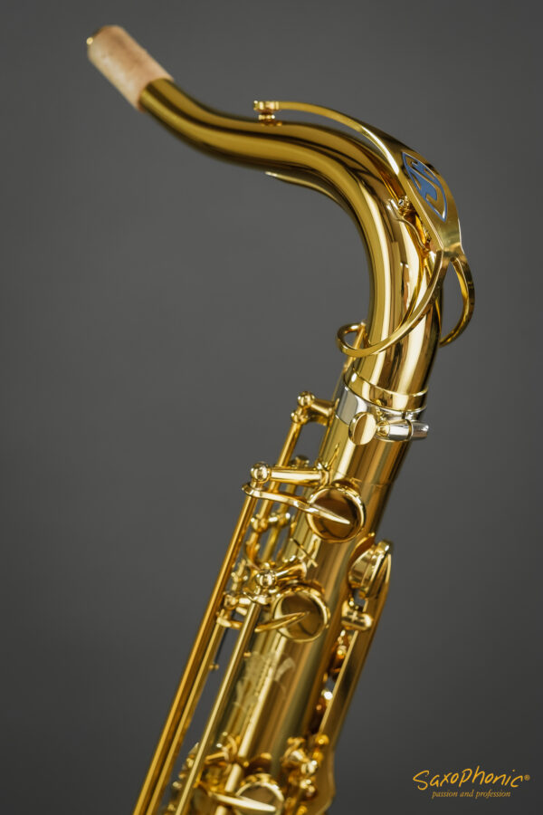 Tenor Saxophone SELMER Paris Signature dark gold lacquer dunkler Goldlack Art Deco Gravur engraving