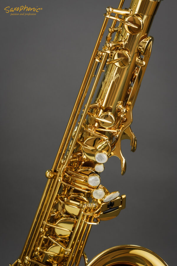 Tenor Saxophone SELMER Paris Signature dark gold lacquer dunkler Goldlack Art Deco Gravur engraving