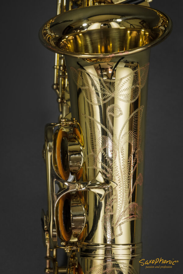 Alto Saxophone SELMER Paris SA80 gebraucht wie neu used like new 357xxx