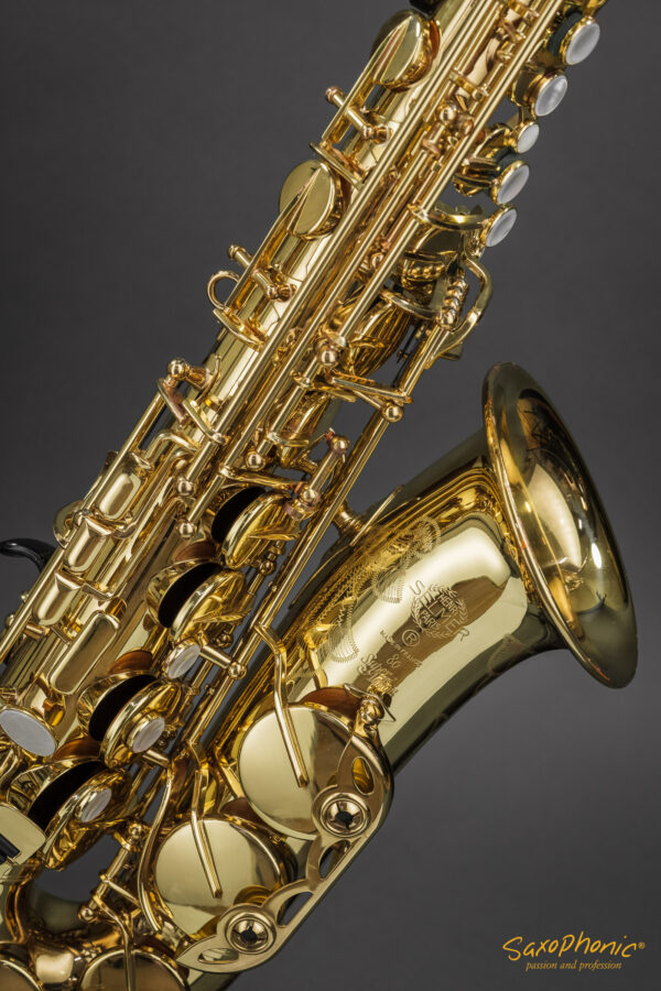 Alto Saxophone SELMER Paris SA80 gebraucht wie neu used like new 357xxx