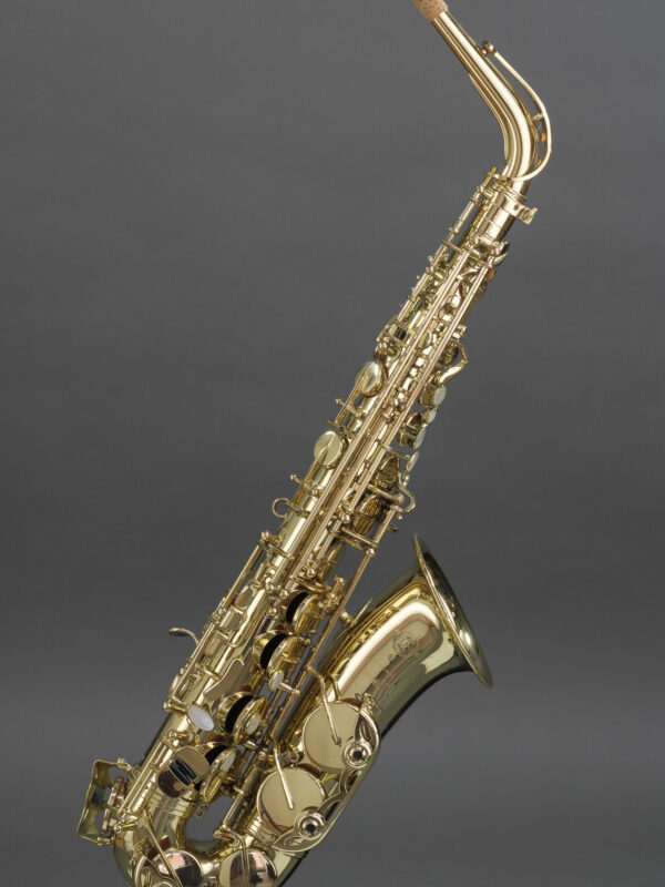Alto Saxophone SELMER Paris Series III Professional Horn Profisax 1. Hand used gebraucht 606521